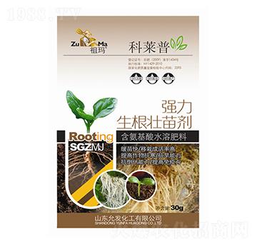 �����������焩-���R��-�欔-�ʰl(f��)����