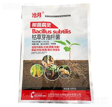 �ݲ�ѿ�ߗU��-�������`-����-�ʰl(f��)����