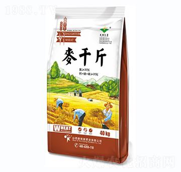 ��ǧ��-�º���