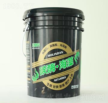 ̼ø����-�Gչ�ʘI(y��)