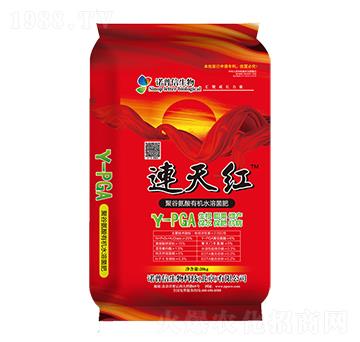 聚谷氨酸有機(jī)水溶菌肥-連天紅-諾普信