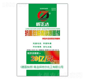 �����_(d��)���ز�ⶾ��������-���ؠ�