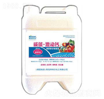 ̼�ܼ����}-���ؠ�