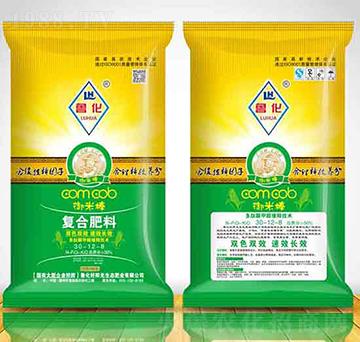 �ͺϷ���30-12-8-������ꖹ�