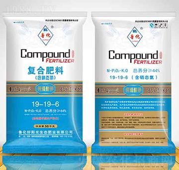 �ͺϷ���19-19-6-������ꖹ�