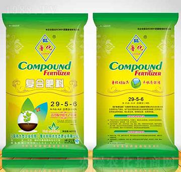 �������ȩ�ͺϷ�29-5-6-������ꖹ�