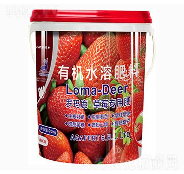 �_��¹��ݮ���÷�-���L