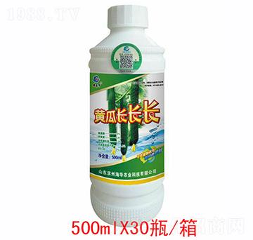 黃瓜長(zhǎng)長(zhǎng)長(zhǎng)-海華農(nóng)業(yè)