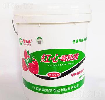 �t��ݮ�P�����_ʩ�ͣ�-���A�r(n��ng)�I(y��)