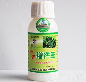葉菜增產(chǎn)王-海華農(nóng)業(yè)
