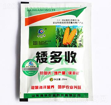 玉米矮多收袋-海華農(nóng)業(yè)