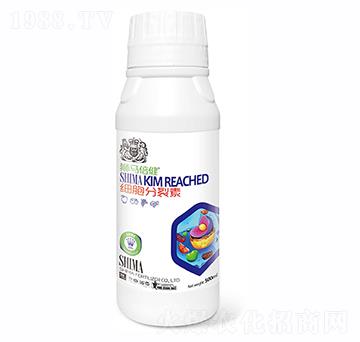 ����������500ml-�{�R�ʘI(y��)