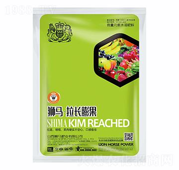 ���L���-�{�R�ʘI(y��)