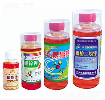 �V�V���~���-�ѿ�