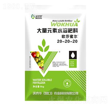 ����Ԫ��ˮ�ܷ�20-20-20-�Wɯ�۠�-�ֿ��A