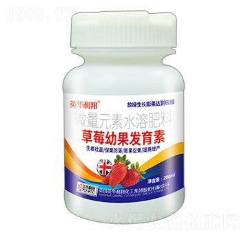 草莓幼果發(fā)育素-英華利邦-天舜植保