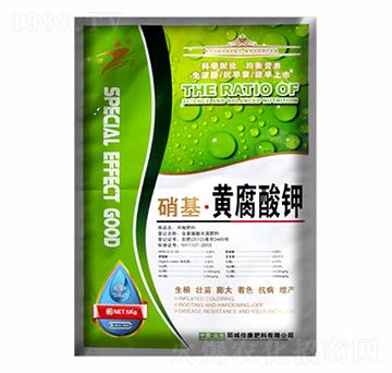 �������S�����-�ѿ�