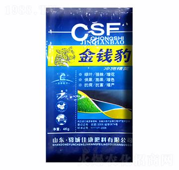 ���X(qi��n)���_ʩ��-�ѿ�