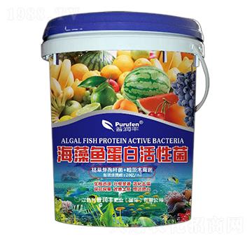 �����~(y��)���׻��Ծ�-�՝�(r��n)�S