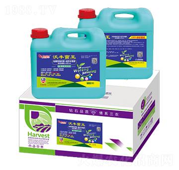 ���S����-�՝�(r��n)�S