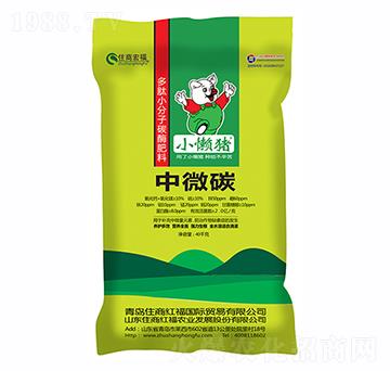 ��΢̼-ס�̺긣