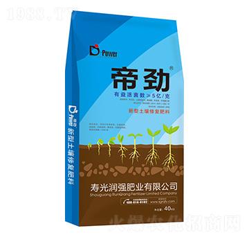 ���������ޏ�(f��)����-�ۄ�