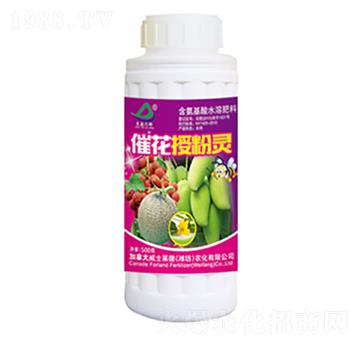 �߻��ڷ��`-�G��-��ʿ�R��