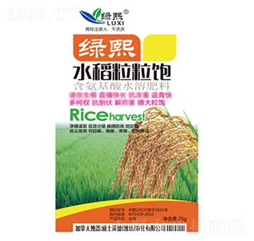 水稻粒粒飽-綠熙-威士萊德