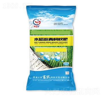 水稻返青柯杈肥-富農(nóng)科技