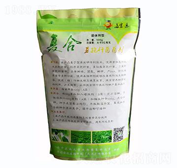 500g復(fù)合芽孢桿菌菌劑固體-華創(chuàng)佳農(nóng)