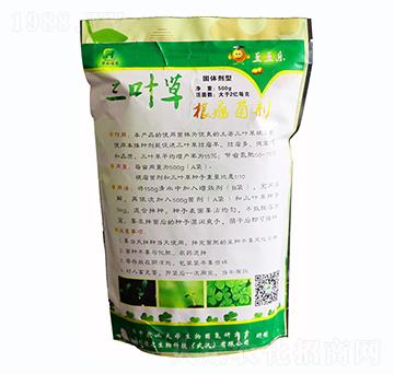 500g三葉草根瘤菌劑固體-華創(chuàng)佳農(nóng)