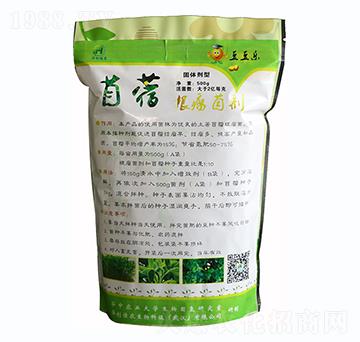 500g苜蓿根瘤菌劑固體-華創(chuàng)佳農(nóng)