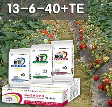 康潤(rùn)大量元素水溶肥13-6-40+TE-賽格爾
