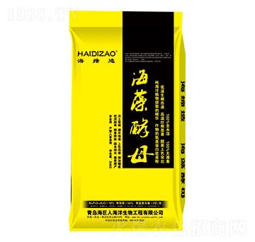 海藻酵母-海巨人