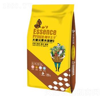 平衡型營(yíng)養(yǎng)專用水溶肥19-19-19+TE-精華王子-農(nóng)富天下