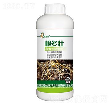 根多壯-瑞可丹-瑞閣邁特