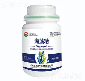 ���徫-ʩ�۸�