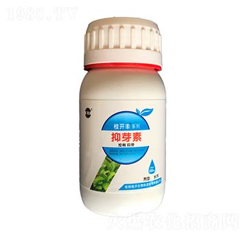 200ml���_�S��ѿ��-���_����