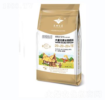 大量元素水溶肥料20-20-20+TE-大田之星-新核能