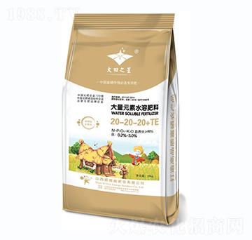 大量元素水溶肥料20-20-20+TE-大田之星-新核能