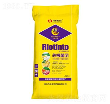 �B(y��ng)��܊�F(tu��n)-��������