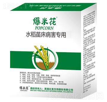 水稻苗床病害專用-爆米花-億美生物