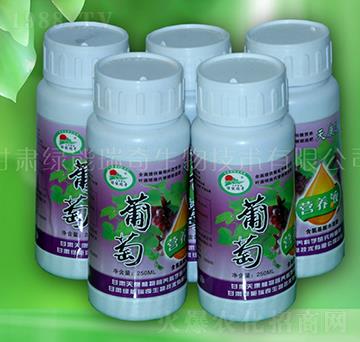 葡萄營(yíng)養(yǎng)液-綠能