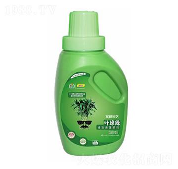 葉綠綠-海大生物