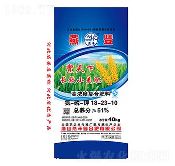 高濃度小麥復(fù)合肥料18-23-10-燕豐
