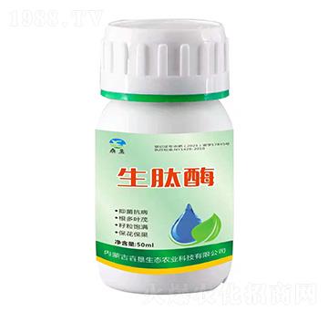 生肽酶-垚墾生態(tài)