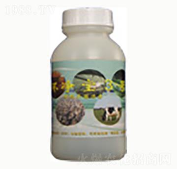 環(huán)凈寶3號-賜?？? width=