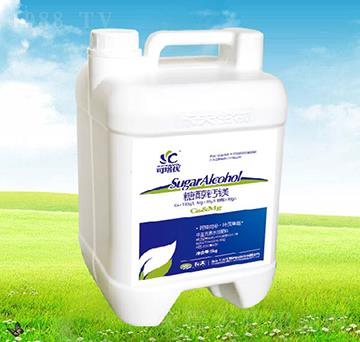 �{��ʿ�Ǵ��}�V-����