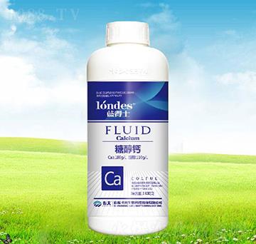 1300���{��ʿ�Ǵ��}-����