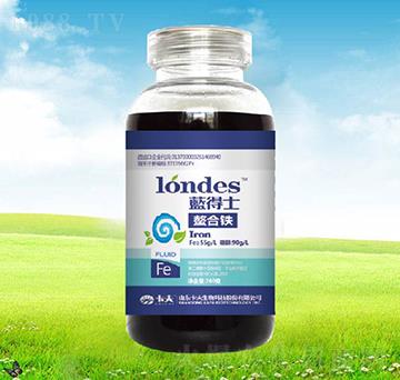 300���{��ʿ�����F-����